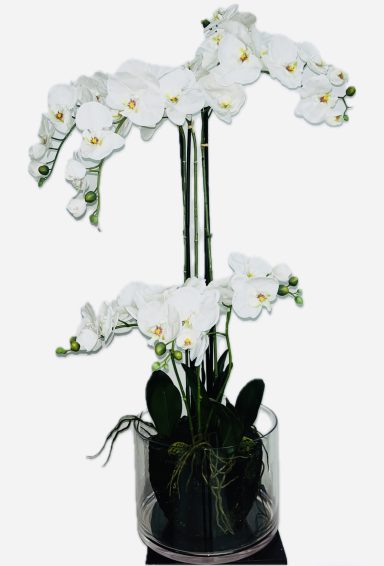 Orchideen groß 110 cm