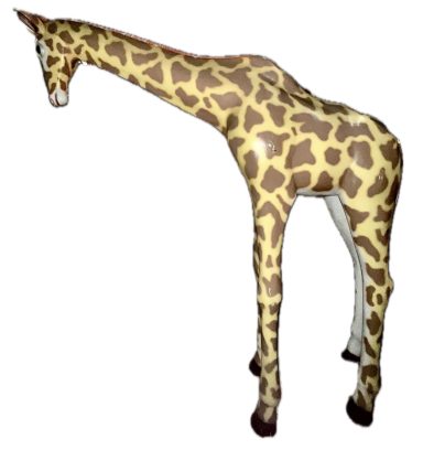 Giraffe 3 Meter Höhe