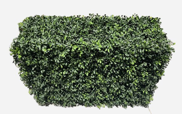 Rasenwand 60 x 80 cm